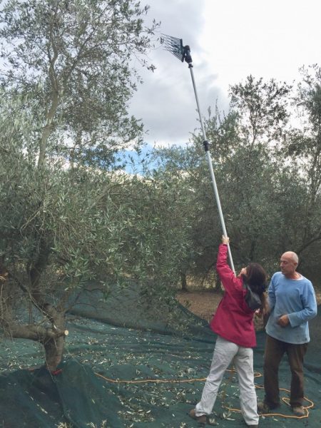 %e7%be%8e%e6%8f%ae%e3%81%ae%e5%8f%8e%e7%a9%ab%e5%a7%bf